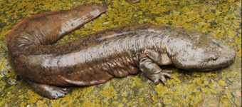 �������������㣺���ͽ����˽�����Ӥ�����