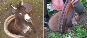 ��ô�ܿ������ֵط��������Դ����ֱ�������