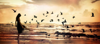 �����ӽ���Ӱʦ��Ʒ��