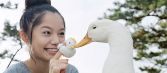 ������Ůд��ݣ������