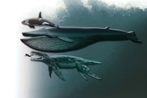 巨型海怪_新闻中心_新浪网