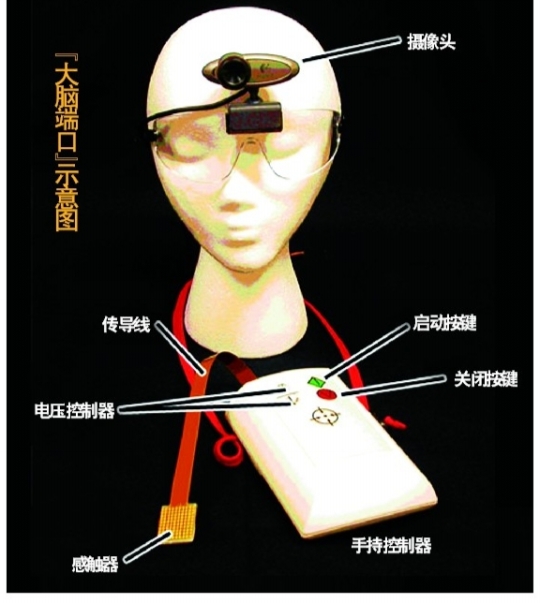 盲人用舌头也能看世界 美国科学家发明的仪器