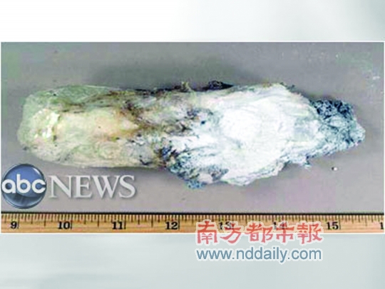 引爆物失灵内裤炸弹未爆 装有80克烈性炸药