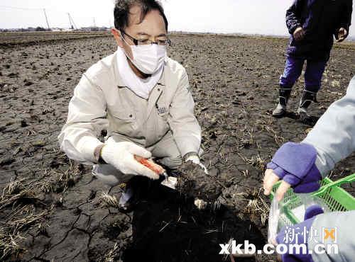 福岛:土壤检测出剧毒钚 广东:海食品绝对安全