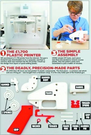 3D��ӡǹ����������