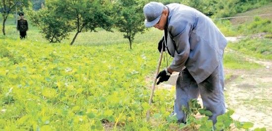 朝媒开释放拘留在朝美国人条件:美放弃敌朝政