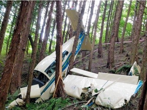 日本小型观光飞机坠下山林2人重伤|日本|观光飞