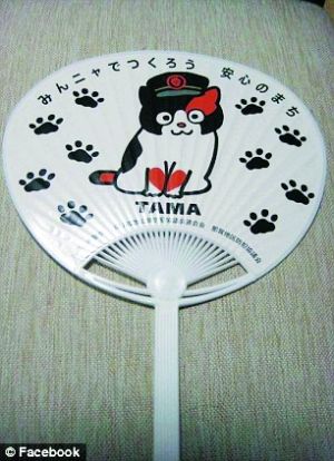 猫站长扇子.
