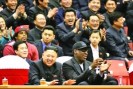 �޵����ƽ��ܽ��������뵣�γ��������¶ӽ���