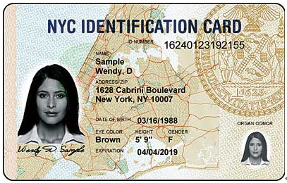 纽约市身份证样本。（美国《星岛日报》援引《纽约时报》）