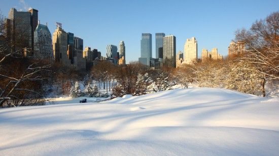 这是1月12日拍摄的美国纽约中央公园雪景。新华社发（吴凯翔摄）