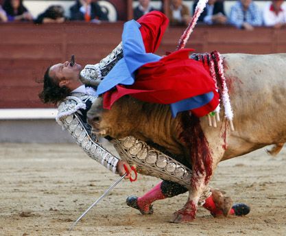 图文:体育类单幅二等奖-斗牛士被公牛撞伤