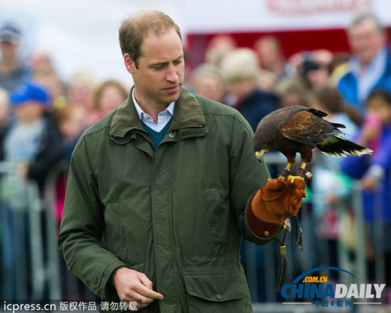 威廉王子农展会上客串训鹰师 小心翼翼(组图)[1]- 中文国际_新浪新闻