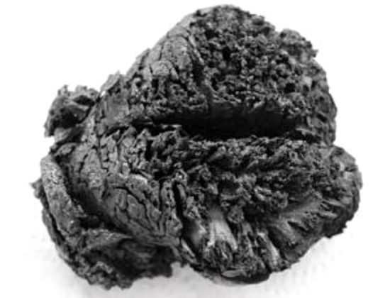 这颗形似木炭的人脑已有4000年历史。 这颗形似木炭的人脑已有4000年历史。