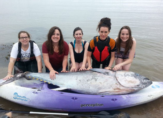 英国发现2米长蓝鳍金枪鱼 价值65万英镑(图)|蓝