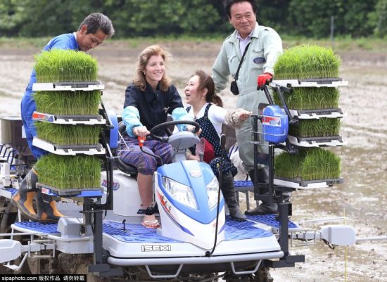 当地时间2015年6月14日,日本下关,美国驻日本大使卡罗琳·肯尼迪在日本首相夫人安倍昭惠的陪同下造访下关市,两人还亲自下田插秧,体验做农活的感觉。(供图:希帕中国) 当地时间2015年6月14日,日本下关,美国驻日本大使卡罗琳·肯尼迪在日本首相夫人安倍昭惠的陪同下造访下关市,两人还亲自下田插秧,体验做农活的感觉。(供图:希帕中国)