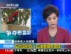 利比亚反对派称攻入石油重镇布雷加