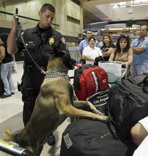 Los Angeles Airport Police officer Michael Manahan guides his dog, Baso, to check luggage as travelers wait in line at Los Angeles International Airport