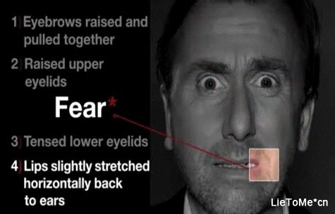 fear