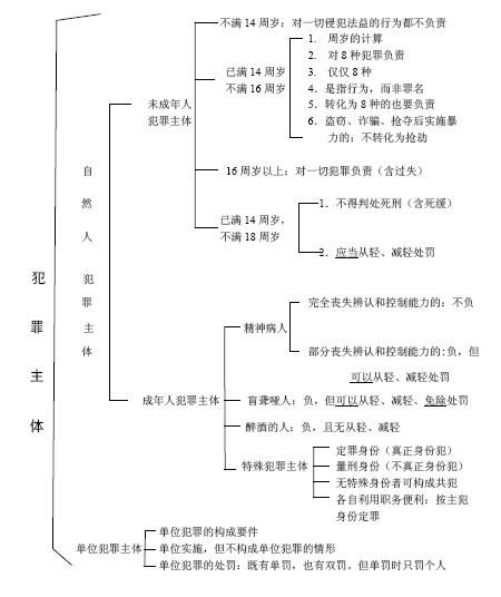 犯罪主体知识体系