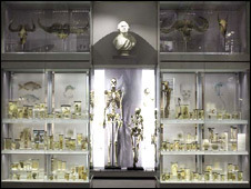 Skeletons and other objects on display (c) the Hunterian museum