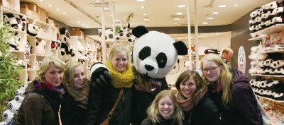 ��Ӣ������������è�ȴ�ҵ