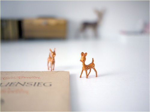 专家指导:学英语不是盖房子而是煮米饭(图)