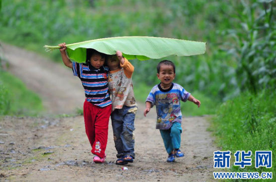 5月31日，在广西都安瑶族自治县隆福乡隆福村，几名小孩用芭蕉叶当作雨伞。在广西都安、大化等大石山区农村里，孩子们在大自然中体验着自然质朴的童年生活。 新华社记者黄孝邦摄