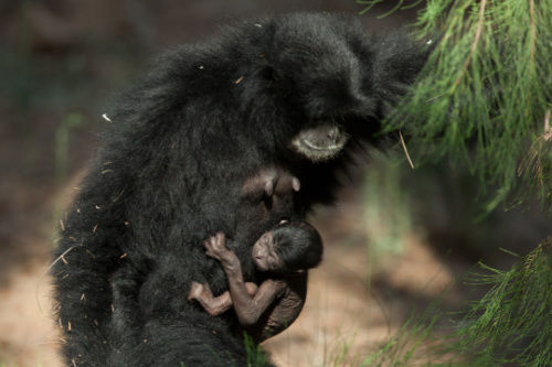 С����Գ����ĸ��˱������֭���ƺ�һ������Ը���뿪