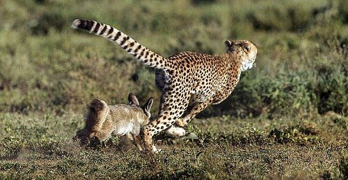 ������ת��ĸ�Ա������������׷