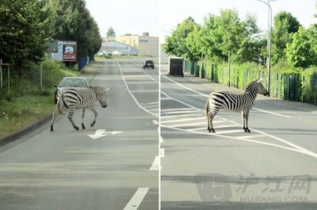 ��Ц���Ӱ���վ·��αװ�������ߡ�