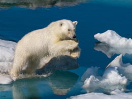 ���˹�����