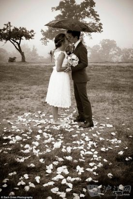 photo4A husband and wife brave the elements together as they hold hands in their dress and tuxedo, standing among rose petals and protected from the rain under a black umbrella. ½Ԫؽһںɫɡıӻ½˫ӵһΧɢõ廨ꡣ