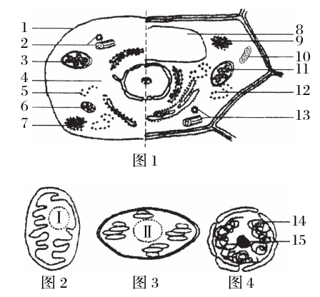 2014年高考生物百日冲刺细胞结构练习