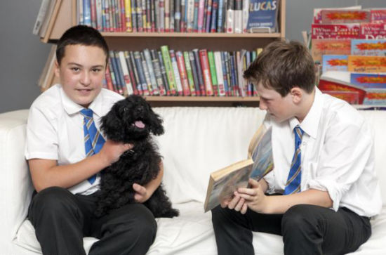 组图:英国中学引进小狗助学生阅读塑自信