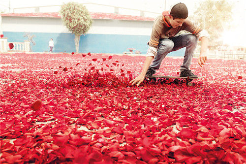 petals covering the surface of a street as a skateboarder rolls past ˽ֵһλ껬Ż徭