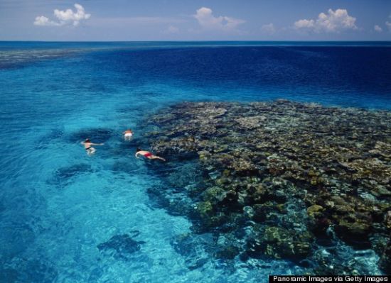 ȳ 㵺Ambergris Caye, Belize