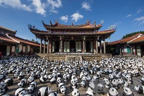 纸熊猫快闪:空降香港呼吁环保(双语)
