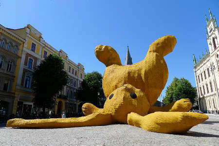 Ʒ(The Big Yellow Rabbit)