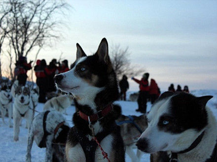 手机隐私安全风险 如何保护个人信息不被泄露