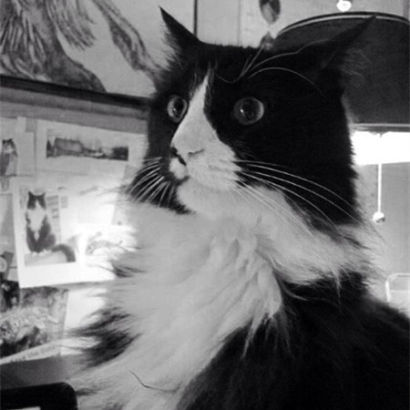 Henri, le chat noir