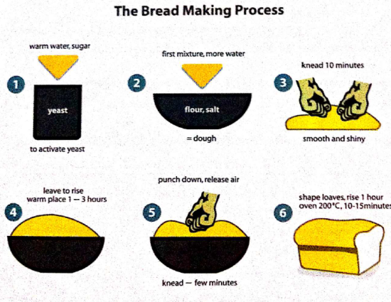 The information in the diagram below describes the bread making process