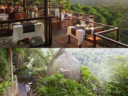 While you are already in the neighborhood, why not enjoying the views of the Indonesian forests from another beautiful point of view in the La View Restaurant, an intimate fusion restaurant, which serves south-east Asian cuisine infused by the traditional French culinary art. ڸΪʲôһǶӡǵĴءõʳ