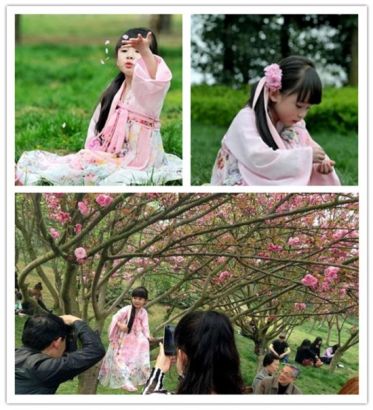 成都4岁“樱花小萝莉”