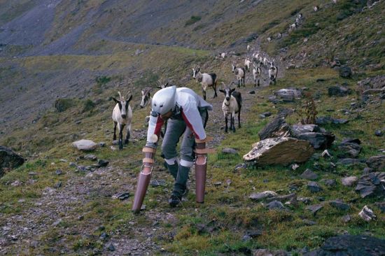 托马斯表示大部分时间羊走的很快，特别是在满是石头的山路上，有时羊群会抛下自己走掉，他会慢慢赶上，再和羊群一起吃草。(网页截图)