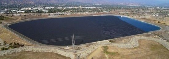  (这9千7百万个塑料球硬把把面积1千亩的洛杉矶水库盖上了个盖子，以求减少水的蒸发。网图)