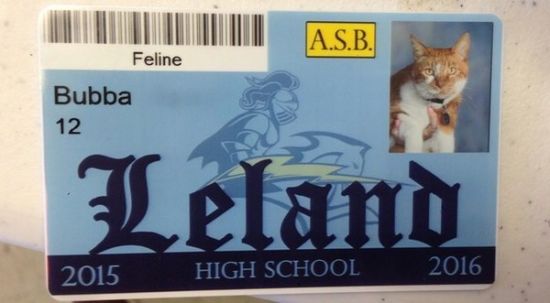 近日，布巴获得了利兰高中为它制作的一个印有它的照片的“学生证”