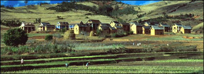 Madagascar farmland