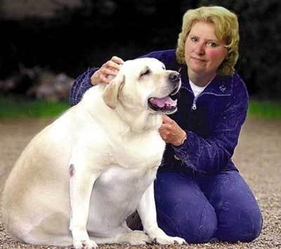 A woman with her pet. Like many adults in the United States, an increasing number of pets are overweight or obese