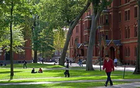 Results showed that at least a tenth of the Harvard first-year undergraduates polled admitted to having cheated on an exam prior to starting at the university, while almost half admitted to cheating on their homework Photo: ALAMY
